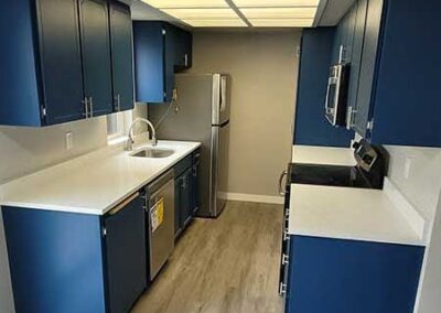 Kitchen Cabinet Painting