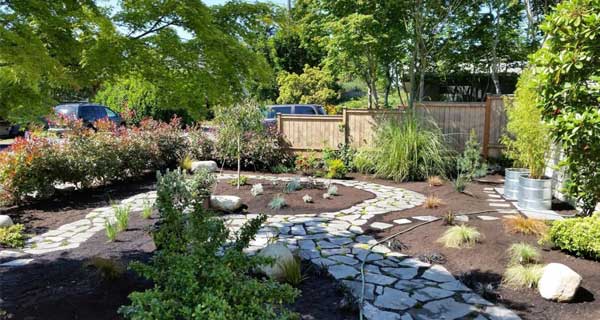 Backyard Renovation